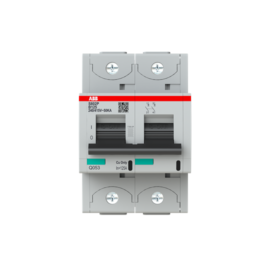 S802P B125 Автоматический выключатель 2-полюсный, 125A, 50kA (хар-ка B) ABB, 2CCG001219R0001