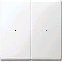 SM, клавиша для модуля 2 кнопочного выключателя (полярно-белый) KNX Schneider Electric, MTN619219