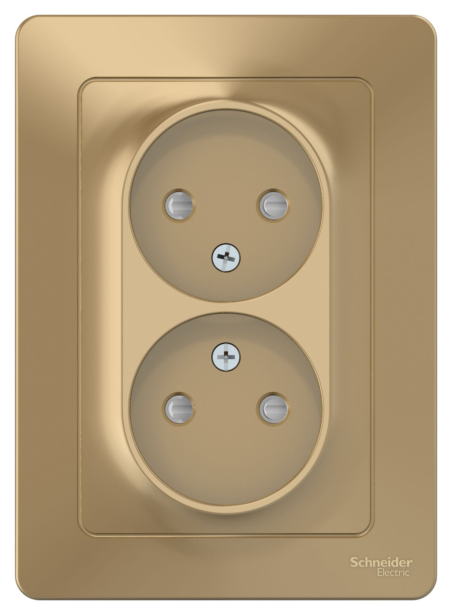 Розетка двойная, без заземления со шторками, С/У, 16А, 250В (титан) Blanca Systeme Electric, BLNRS000124