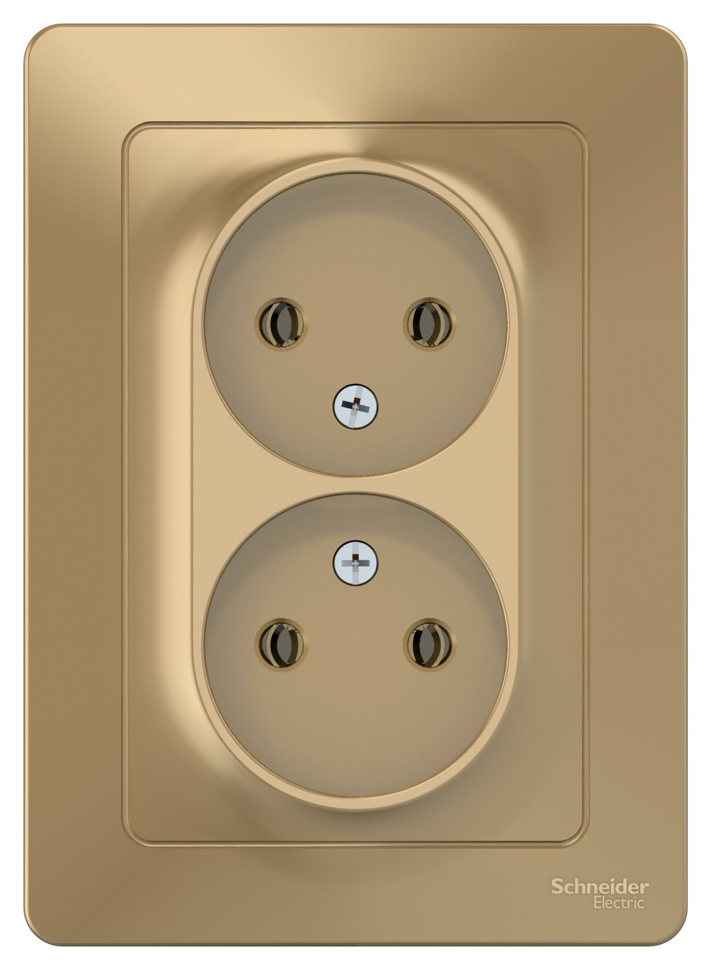 Розетка двойная, без заземления, без шторок, С/У, 16А, 250В (титан) Blanca Systeme Electric, BLNRS000024